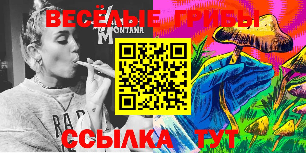 Галлюциногенные грибы ЛСД  где можно купить   Зеленогорск  Вход с VPN 